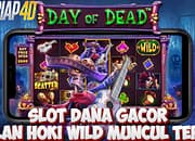 slot dana gacor bulan hoki